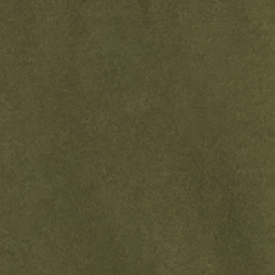 Bristol Olive