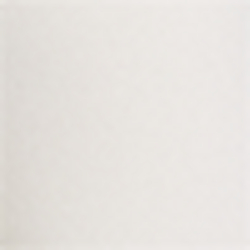 Pale Cream