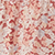 Dark Raspberry Multi