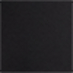 Polo Black