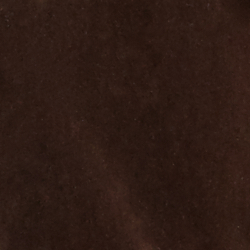 Equine Mocha