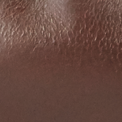Polo Brown