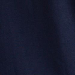 Cruise Navy