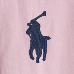 Le sweat à capuche RL en molleton