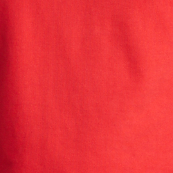 RL 2000 Red Usa Bear