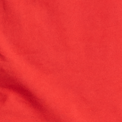 RL 2000 Red Usa Bear