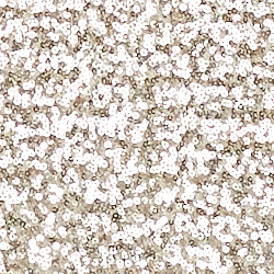 Sparkling Champagne