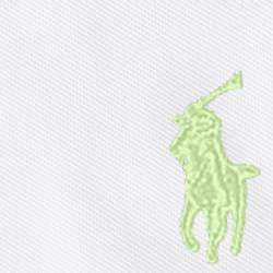 White/17ant