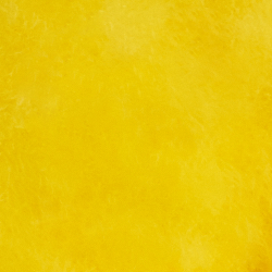 Canary Yellow