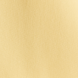 Canary Yellow