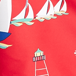 Ocean Voyage