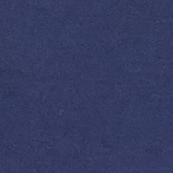 Cruise Navy