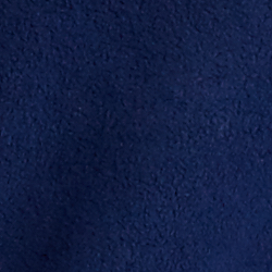 Cruise Navy