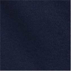 Cruise Navy