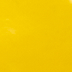 Canary Yellow
