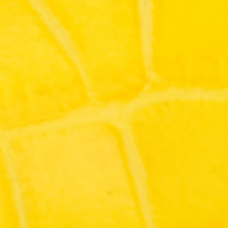 Canary Yellow