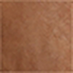Brown/Cream