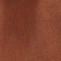 Luggage Brown