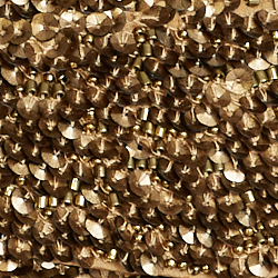 Sequin Print