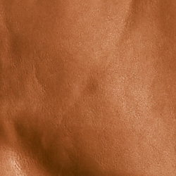 Cinnamon