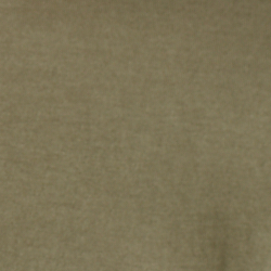 Canopy Olive