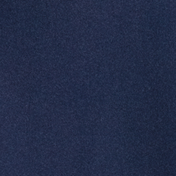 Cruise Navy