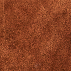 Cinnamon/Saddle