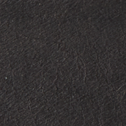 Black Multi