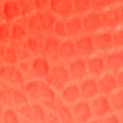 Sporting Red/Lauren Tan