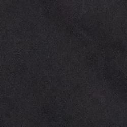 Polo Black