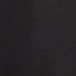 Polo Black