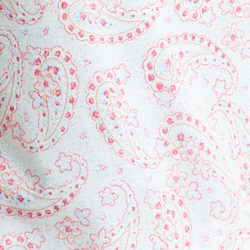 Paisley