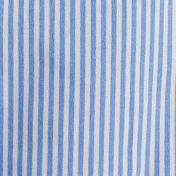 Blue Stripe