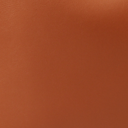 Lauren Tan/Monarch Orange