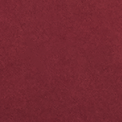 Pinot Noir/Cream