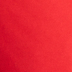 Lipstick Red/Polo Black
