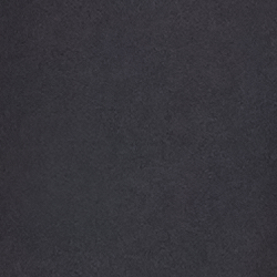 Polo Black