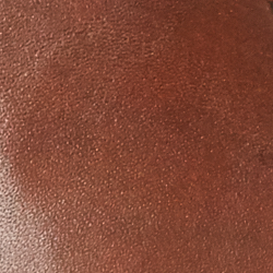 Polo Tan