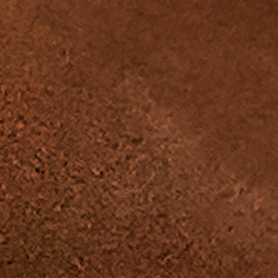 Polo Pale Russet