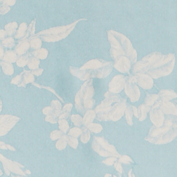 Pale Aquamarine