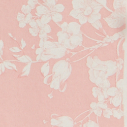 Pink Macaroon/M Cream