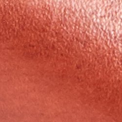 Polo Tan