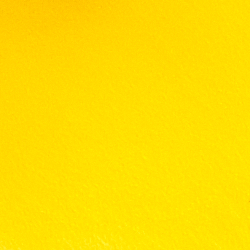 Yellow Colorblock