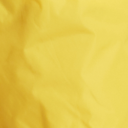 Lemon Yellow