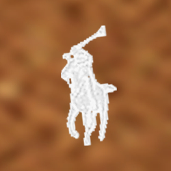 Polo Pale Russet