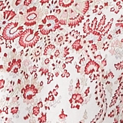 Red Print