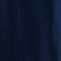 Cruise Navy