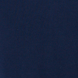 Cruise Navy