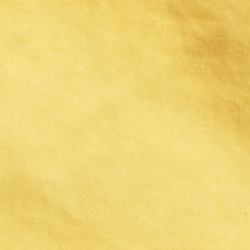 Slicker Yellow