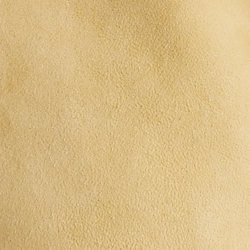 Polo Tan